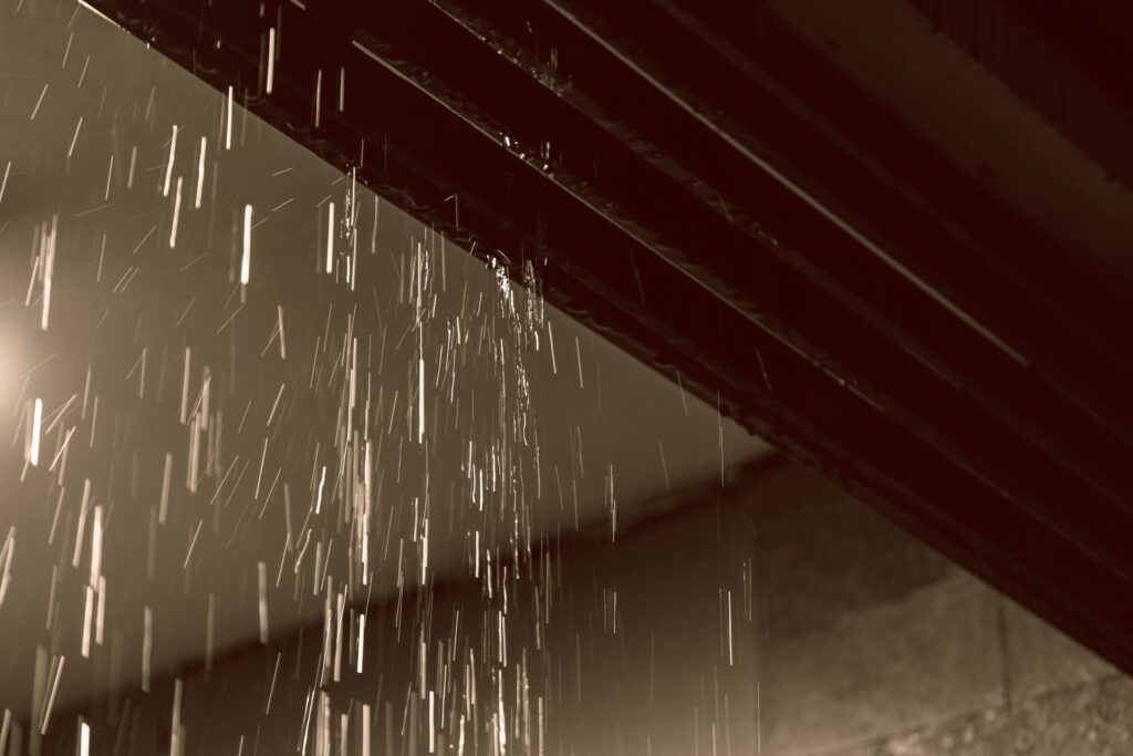 雨